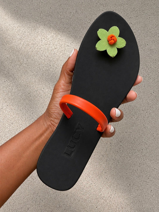 VINCA SLIDES